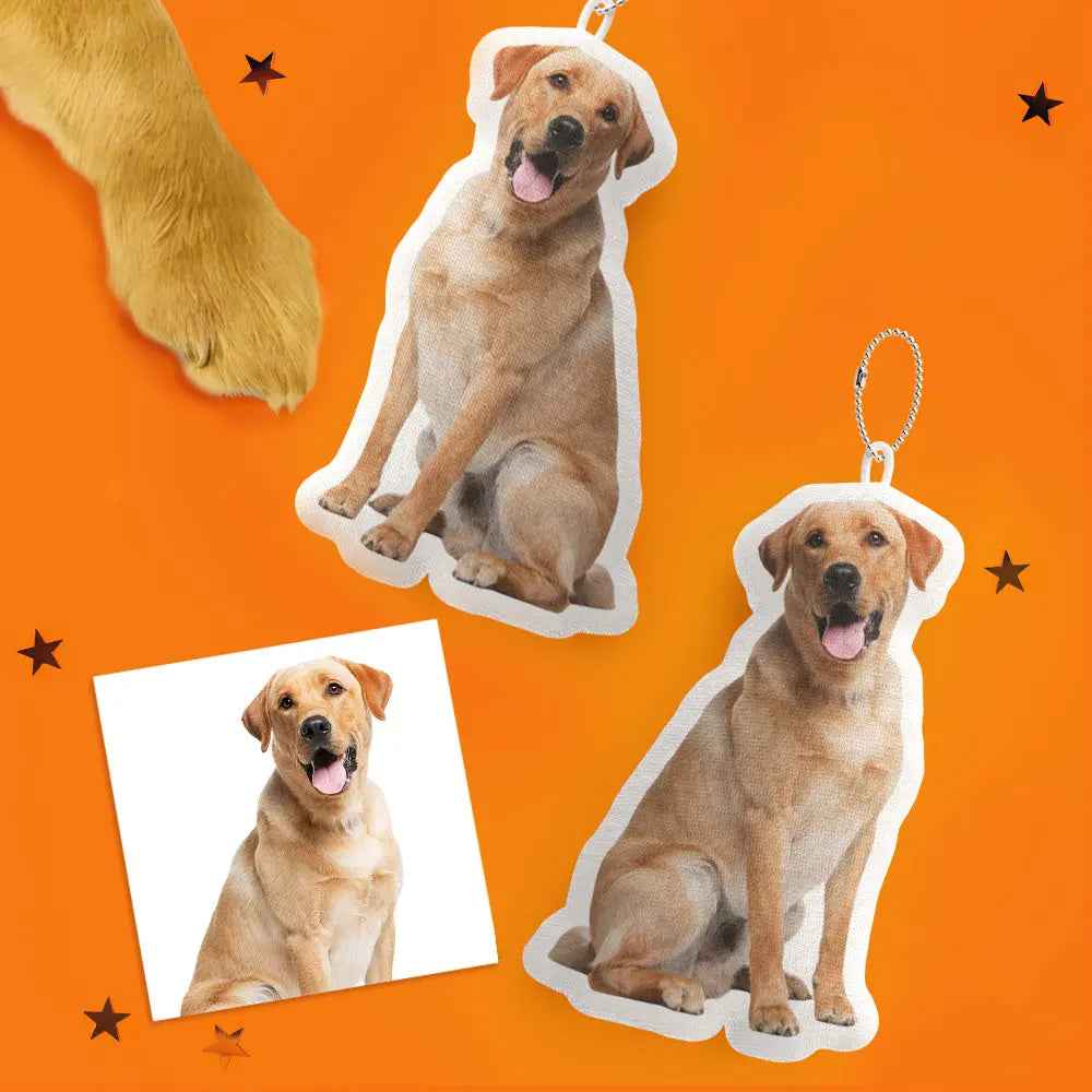 Custom Picture Pillow - Personalised Cat/Dog/Face Shaped Home Decor - Unique Gifts